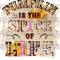 Pumpkin Is The Spice Of Life Sublimation Transfer - T214