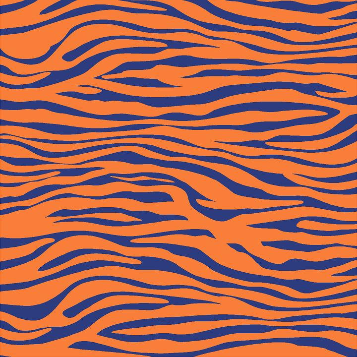 orange zebra print pattern