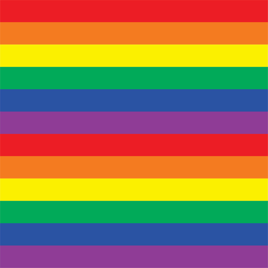 Stripes Rainbow Pride HTV