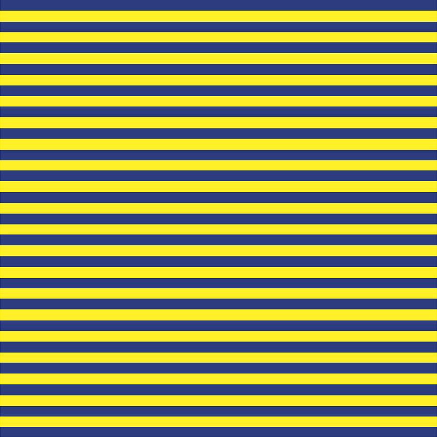 Yellow-Stripe