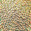 Feather pattern printed craft  vinyl sheet - HTV -  Adhesive Vinyl -  peacock feathers HTVF6 - Breeze Crafts