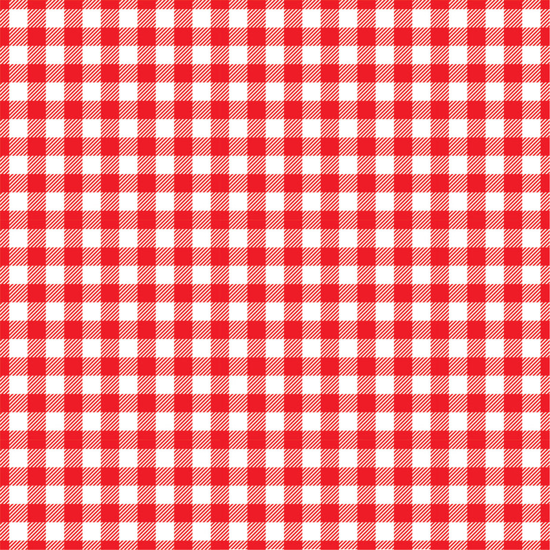 Gingham, Red/White, Tissue Paper (20 x 30 sheets)-TP-GING