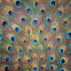 peacock feather sublimation pattern sheets